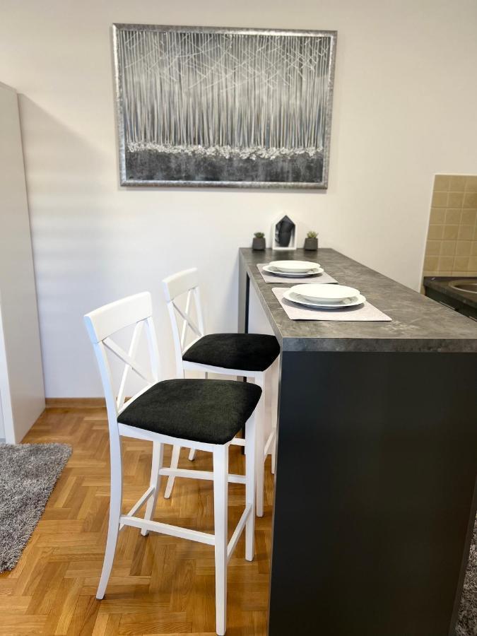 Centar Ns2 Apartment Novi Sad Exterior photo